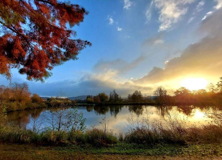 Le Refuge De Normandie Avec Spa Et Cheminee Mesnieres-en-Bray ภายนอก รูปภาพ