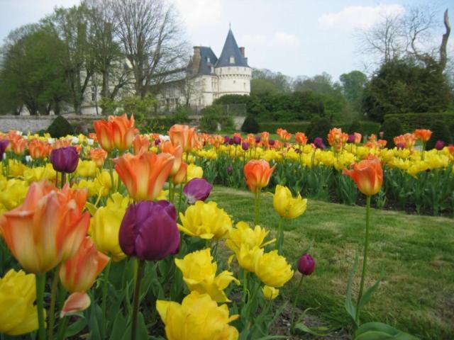Le Refuge De Normandie Avec Spa Et Cheminee Mesnieres-en-Bray ภายนอก รูปภาพ